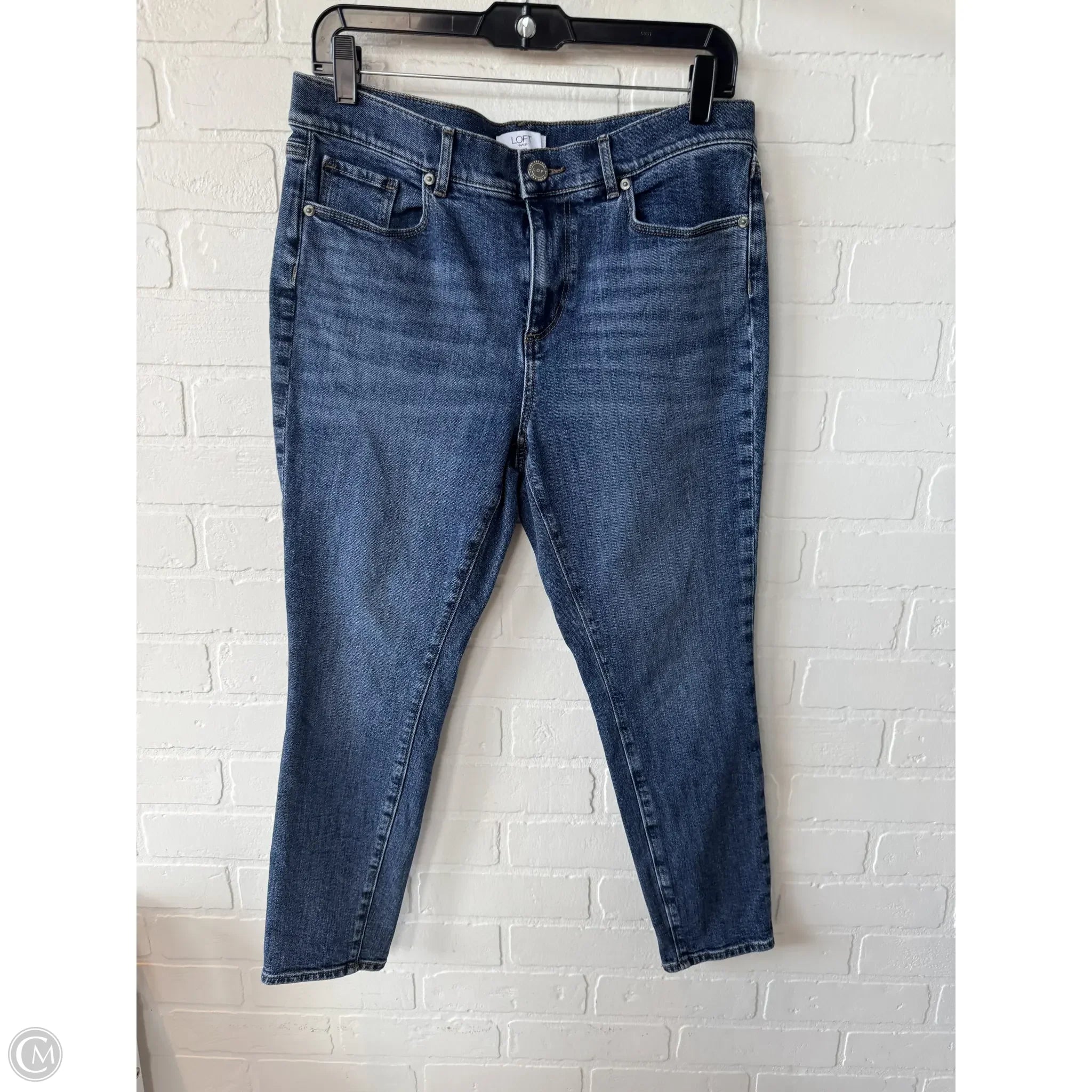 Men's Ripped JeansJeans Skinny By Loft In Blue Denim, Size: 10