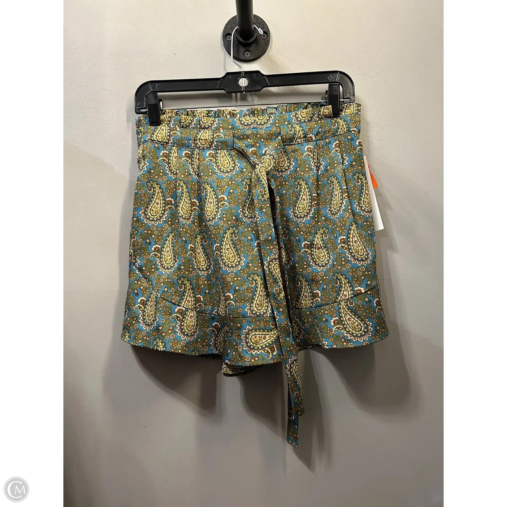 Functional Men's Multi-Pocket ShortsShorts By Dr2 In Green, Size: 4