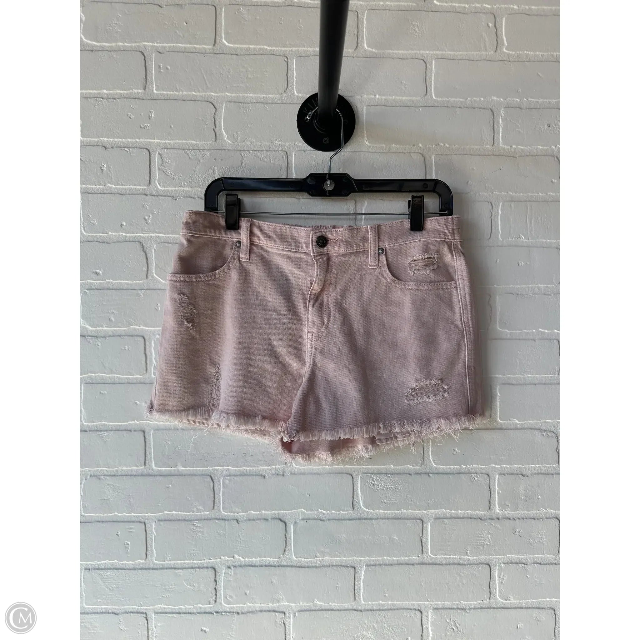 Cozy Men's Flannel ShortsShorts By Aerie In Pink, Size: 8
